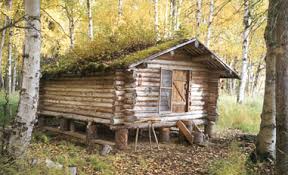 Finance or do a cash deal. Alaska Log And Frame Cabin Packages Metal Roofing And Cabin Plans