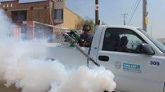 Find out what works well at abc termite & pest control from the people who know best. 29 Pest Control In Sydney Ideas Pest Control Pests Pest Control Services