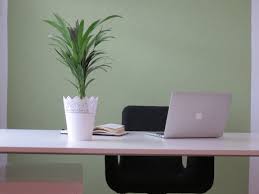 Unser testerteam wünscht ihnen bereits jetzt viel erfolg mit ihrem feng shui arbeitszimmer! Arbeitszimmer Nach Feng Shui Fur Mehr Erfolg Christiane Witt Professionelle Feng Shui Beratung