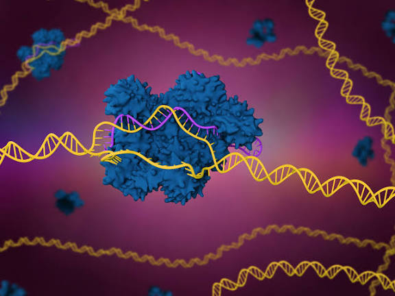 Genome editing research