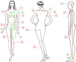 Women Measurements Guide Womens Size Guide How To Measure