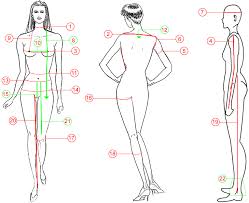 women measurements guide womens size guide how to measure