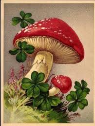 Pin By V V On Fairytale Mushroom Drawing Mushroom Art Fairy Mural