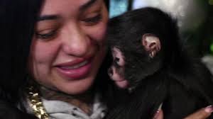 Brandi Botello Jorgie Nbc 11