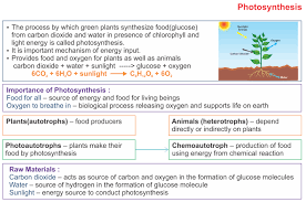 Plant cell organelles that can absorb solar energy. Icse Solutions For Class 10 Biology Photosynthesis A Plus Topper