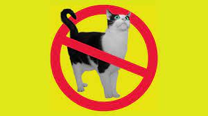 Tipps Gegen Kater Effektiv Und Schnell Den Kater Bekampfen