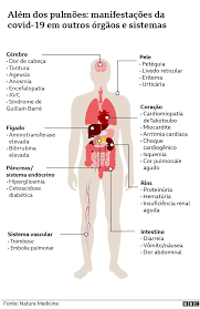 Feb 23, 2021 · ebola and marburg virus disease epidemics: Coronavirus A Longa Lista De Possiveis Sequelas Da Covid 19 Bbc News Brasil