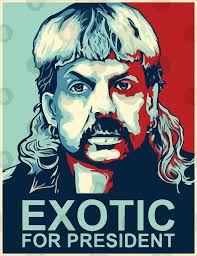 Born march 5, 1963), better known by his stage name joe exotic, is an american former zoo operator and convicted felon. Joe Exotic T Shirts Pinkshop S Diary