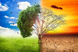 Image result for climate of pakistan