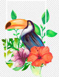 Check spelling or type a new query. Drawing Watercolor Painting Drawing Realistic Aesthetic Decorative Flowers And Parrot Animals Aesthetics Flower Png Pngwing