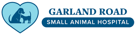 Download Vet Near Me 04901 Garland Road Small Animal Hospital Winslow Me