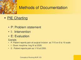 documentation and reporting ppt download