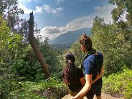 Pendakian bermula dari kuala tahan ke kuala melantai ambil masa 5 hari. Taman Negara Morten Rochssare Reiseblog