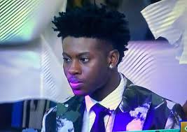 What did you name your Little Dragon?