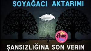 Gorselde Ilk Gordugunuz Hayvan Kisiliginizi Ortaya Koyuyor Biravucbilgi Com