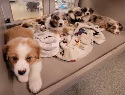 More animation! Let's see some of yours!