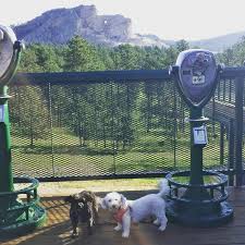Maybe you would like to learn more about one of these? Homeward Bound Animal Welfare Group Inc Reviews And Ratings Middlebury In Donate Volunteer Review Greatnonprofits