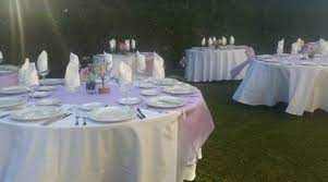 ¿qué comen y cómo cazan? Finca Los Delfines Celebrarlo