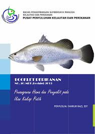 Ikan siakap merupakan ikan pemangsa. Penanganan Hama Dan Penyakit P Ikan Kakap Putih Penanganan