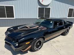 Image result for Beige 1979 GM