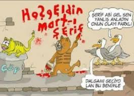 Kediler Neden Mart Ayinda Ciftlesir Kizlarsoruyor