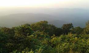 Kirubiru kirubiru## description urban sprawl is a problem that affects all of us; Kiriburu Meghahatuburu Knewit