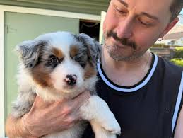 David Bucher (@dwb.hair) • Instagram photos and videos