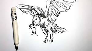 Check spelling or type a new query. Cara Menggambar Burung Hantu Memangsa Tikus Youtube