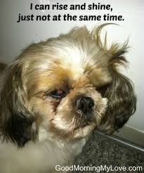 Good morning jokes to make him laugh. 41 Funny Good Morning Texts Quotes Poems Messages