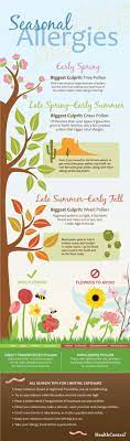 Seasonal Allergies Seasonal Allergies Infographic Health Allergies