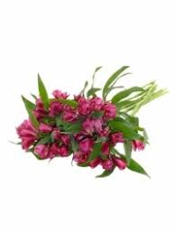 Elke dag worden duizenden nieuwe afbeeldingen van hoge kwaliteit toegevoegd. Wedding Flowers Bulk Diy Valley Pacific Floral Woodburn Florist