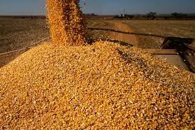Agronegócio goiano exportou US$ 6,7 bi em 2021