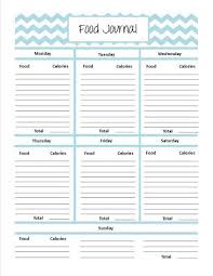 The Fitness Fox Food Journal Printable Food Journal Diet Journal