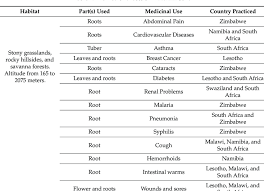 Image result for Dicoma anomala