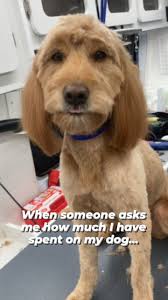 Grooming costs and frequency vary