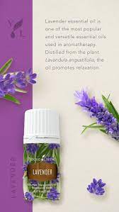 Pin On Essential Oils Herbs