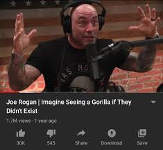 General discussion related to the joe rogan experience. Joe Rogan Is Not Gay Page 3 Sherdog Forums Ufc Mma Boxing Discussion