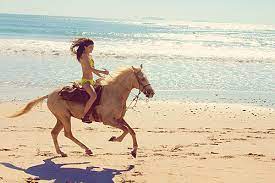 Horseback Riding On The Beach Is Fun Perhaps Not In A Bikini Though Horses Beautiful Horses Woman Riding Horse