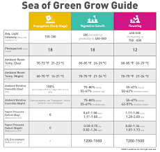 As long as cannabis plants get 18+ hours of light a day, they will remain in the vegetative stage, growing only stems and leaves. The Essential Guide To Sea Of Green Sog For Massive Yields Lumigrow