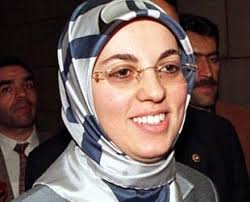 30 ekim 1968, ankara), türk siyasetçi ve akademisyen. Merve Kavakci Tbmm Ye Basvurdu