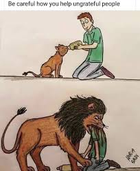 Quotes Don T Bite The Hand That Feeds You Meme Pin By Billygeorge On Memes Instagram Instagram Posts Jamaican Proverbs