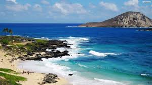Hawaii, oahu, ko olina, resort, marriott, huts, palm trees. 68 Hd Hawaii