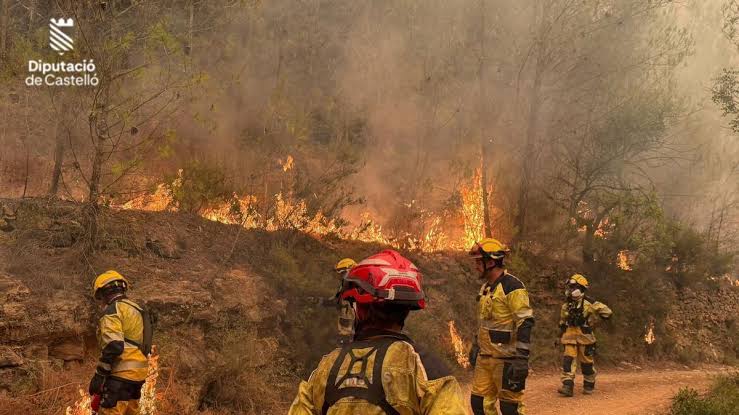 Efectivos del operativo en las tareas de control e inspecci&oacute;n del terreno, generada por IA