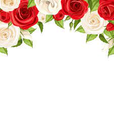 Vivid flowers are the perfect choice for defining landscaping edges. Red Rose Border Stock Photos And Images 123rf