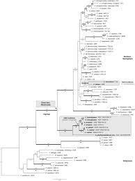 J'ai essay� de faire tout se qu'on dit sur le net. A New Remarkable Dwarf Sedge Carex Phylloscirpoides Cyperaceae From Northern Chile With Insights On The Evolution Of Austral Carex Section Racemosae