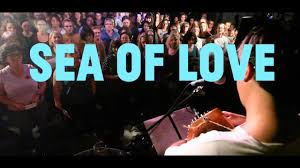 Come with me my love to the sea the sea of love. Choir Sings Cat Power Sea Of Love Youtube