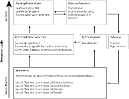 Plus the guy teaches zombie survival camp over the. Https Mediatum Ub Tum De Doc 1552182 Document Pdf