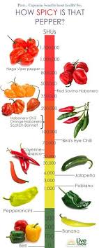 Hot Pepper Diagram Wiring Diagram Images Gallery