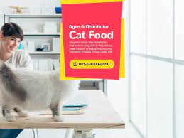 Pusat Makanan Kucing Di Jakarta Makanan Kucing Makanan Anjing Anjing
