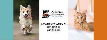 We found 315 results for veterinarians in or near solana beach, ca. Academy Animal Hospital Home Facebook